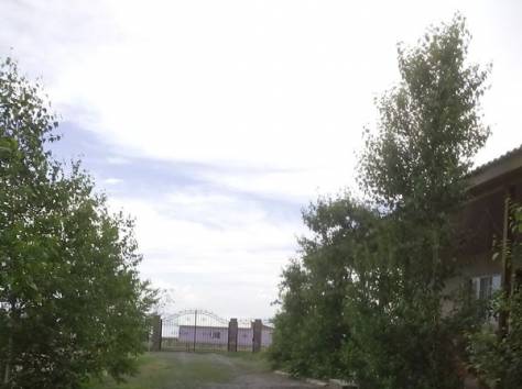 Алаколь Семейный отдых Зеленая крыша, фотография 10