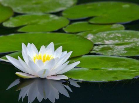 Методическая поддержка, фотография 1