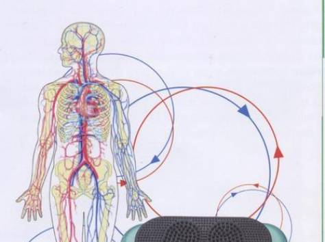 СЦЕК - стимулятор циркуляции энергии ЦИ и крови (Домашний доктор, фотография 1