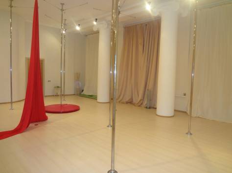 установка и изготовление профессиональных пилонов для танцев, фотография 3