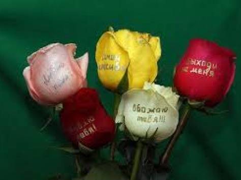 Надписи на живых Цветах, фотография 1