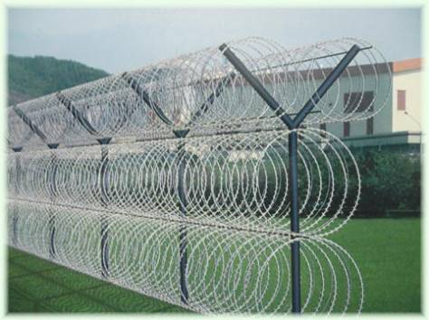 Спиральные барьеры «Егоза» (колючая проволока). , фотография 2