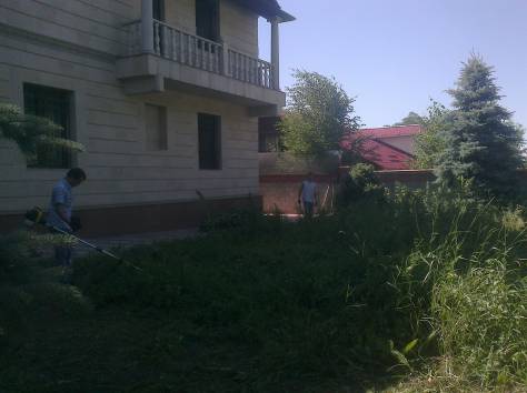 ПОКОС ТРАВЫ , УБОРКА ТЕРРИТОРИИ ., фотография 1