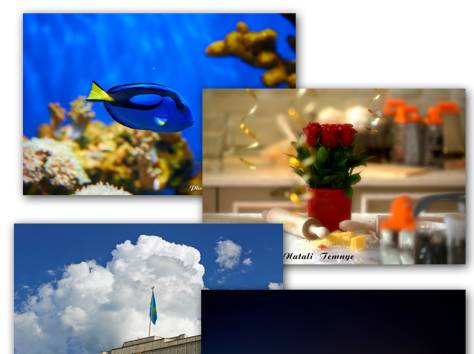 Профессиональная фото-видеосъемка , фотография 2