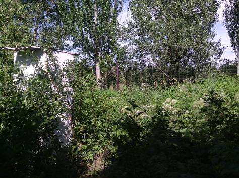 продаю дачный участок, фотография 5