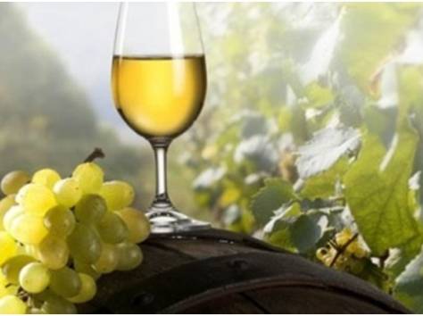 Иссыкский край с дегустацией вин, фотография 1