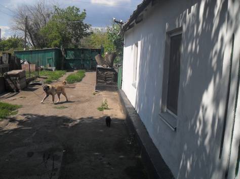 Дом на два хозяина район МСЧ, фотография 3