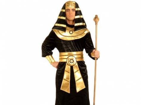 Костюм для аниматоров, фотография 1