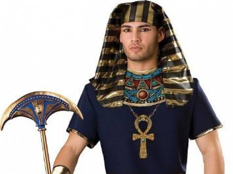 Костюм для аниматоров, фотография 4