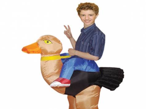 Надувные костюмы, фотография 2