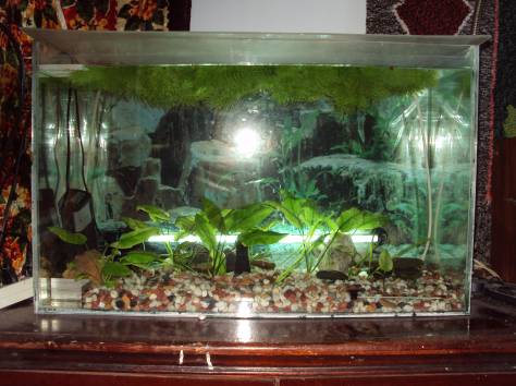 Продам аквариум, фотография 1