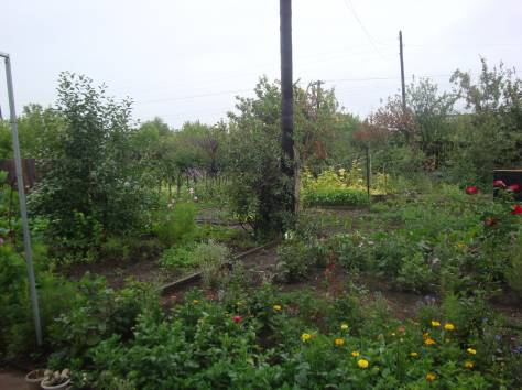 Продам дом, фотография 4