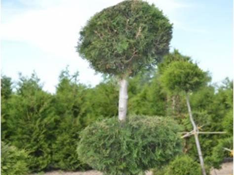 «Флора и Фауна Тургеня» по субботам, фотография 3