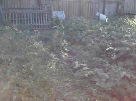 срочно продаётся дом в районе берёзка, фотография 4