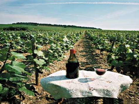 ИССЫКСКИЙ ВИННЫЙ ФЕСТИВАЛЬ 2014, фотография 5