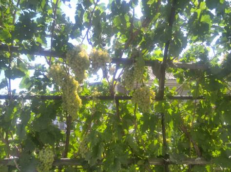 Продаётся дом, фотография 7