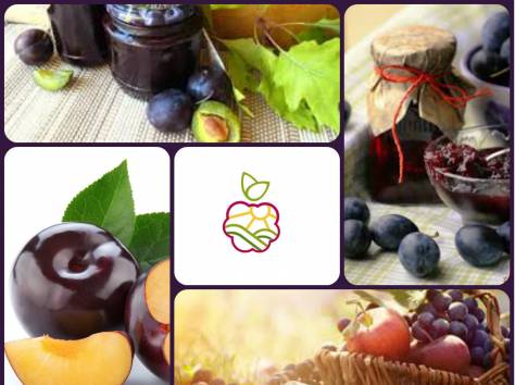 Саженцы сливы в Казахстане, оптом и в розницу., фотография 1