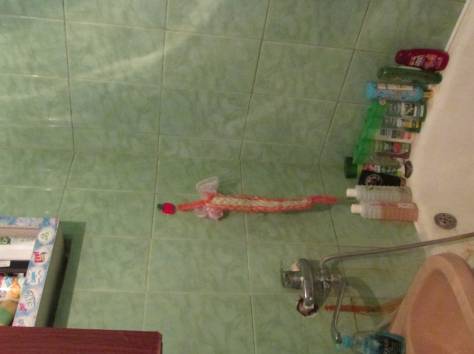 Продам 2-комнатную квартиру, www.valetka82@mail.ru, фотография 12