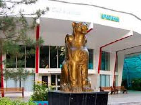 Тур в Сарыагаш, фотография 1