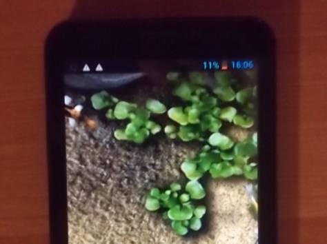 Продам сотовый телефон Мауа М1 за 20 000тг, фотография 5