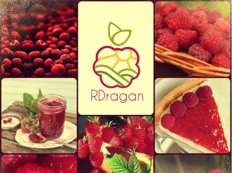 Малина, саженцы опт. И розница в Казахстане., фотография 1