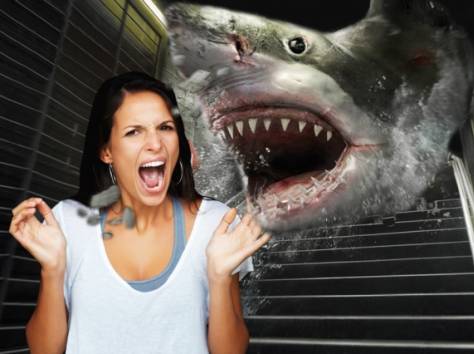 Продам готовый бизнес, фотография 2