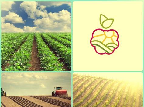 Питомник плодово-ягодных культур реализует саженцы., фотография 1