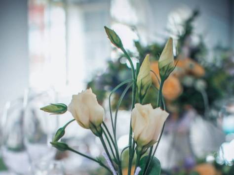 Эксклюзивное оформление свадеб в европейском стиле, фотография 4