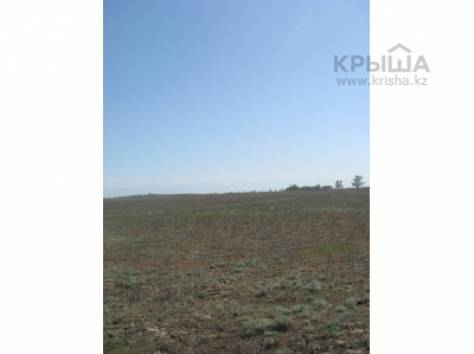 Участок 80 соток, Капчагай, фотография 1