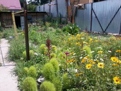 Дом , фотография 6