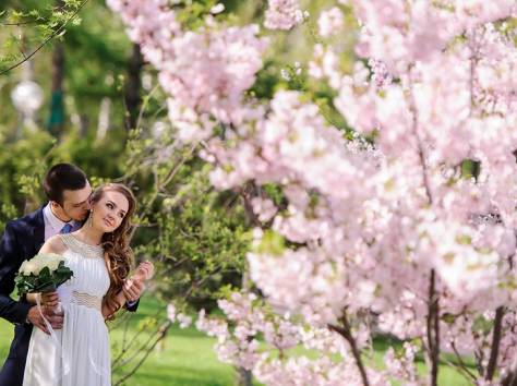 Организация и проведение свадеб по Казахстану и за рубежом., фотография 2