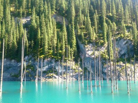 Индивидуальные VIP туры по Алматинской области, фотография 5