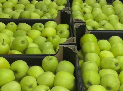 яблоки польские только оптом, фотография 4