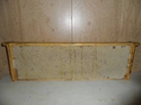 Продам сотовый мед, фотография 2