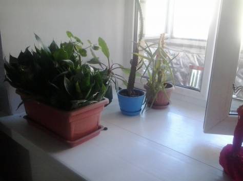 Продать квартира распошёнка тёплая, кудайбердыулы, фотография 2