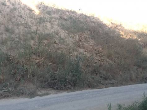 Отдам грунт, фотография 1