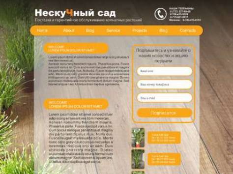 Разработка сайтов с эксклюзивным дизайном в Алматы, фотография 5