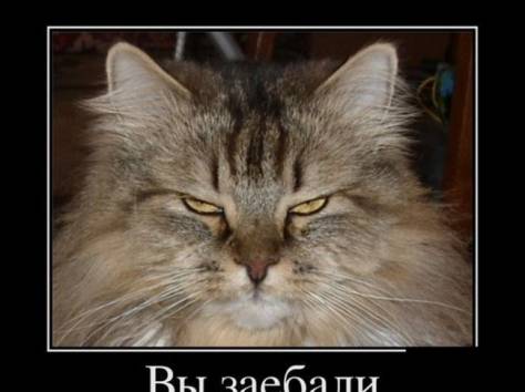 вскрытие  8-747-837-40-37 автозамки, фотография 1