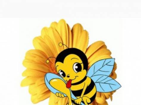 Продам оптом мед, фотография 1