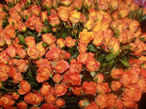 Цветы оптом и в розницу, фотография 7