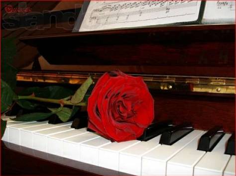 Частные уроки музыки, фотография 1