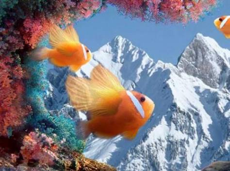 Корел + Фотошоп, фотография 1