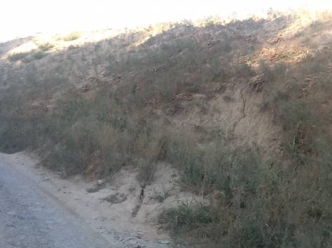 Отдам грунт, фотография 3