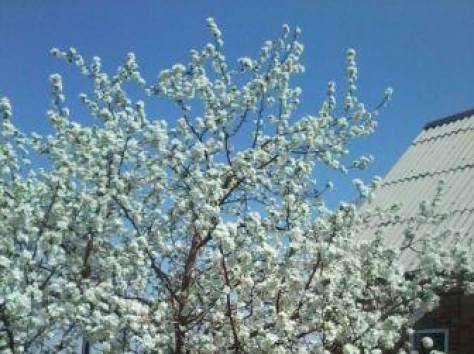 продам дом, фотография 2