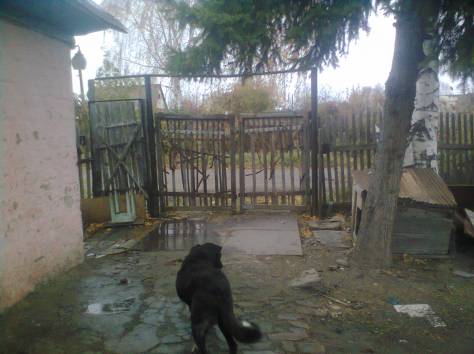 Продам дачу зимний вариант, фотография 3