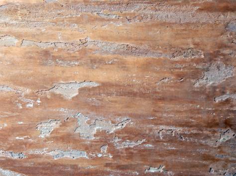 Венецианские штукатурки и краски, фотография 12