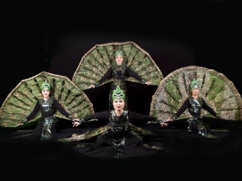 Танцевальный коллектив Шоу Балет ZARA, фотография 11