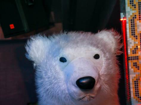 3-х метровые мишки на любое мероприятие, фотография 3