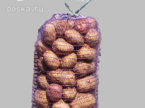 Картофель мелким оптом., фотография 1