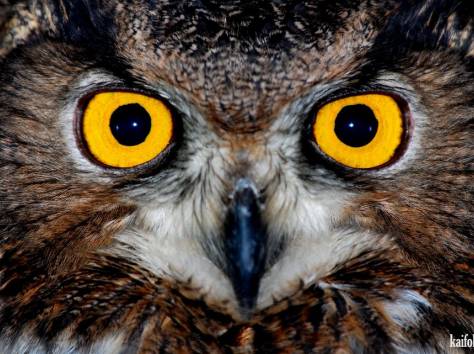 вскрытие  8-747-837-40-37 автозамки, фотография 1